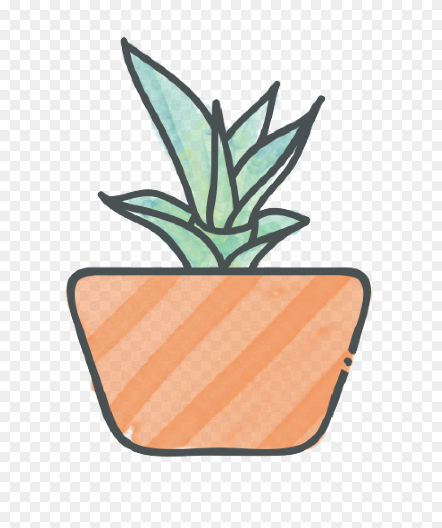 Succulents Green Plants Cute Free S