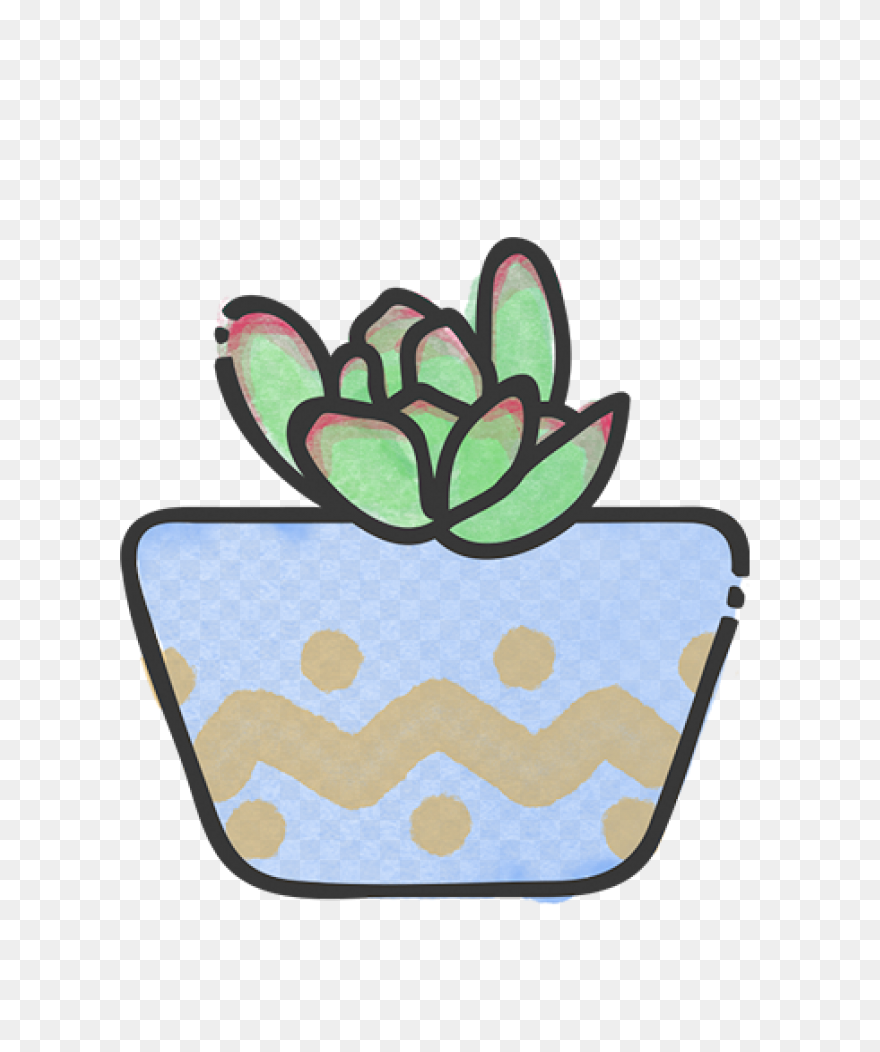 Succulents Green Plants Cute Free S