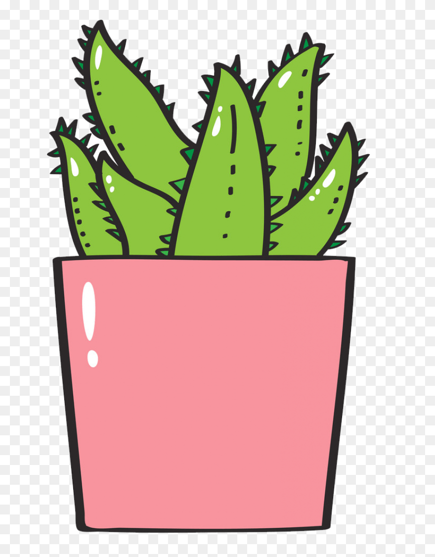 Succulents Green Plants Cute Free S