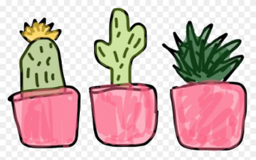 Succulents Green Plants Cute Free - Succulent