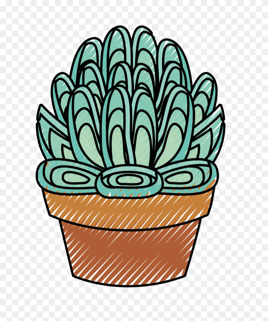 Succulents Green Plants Cute Free S