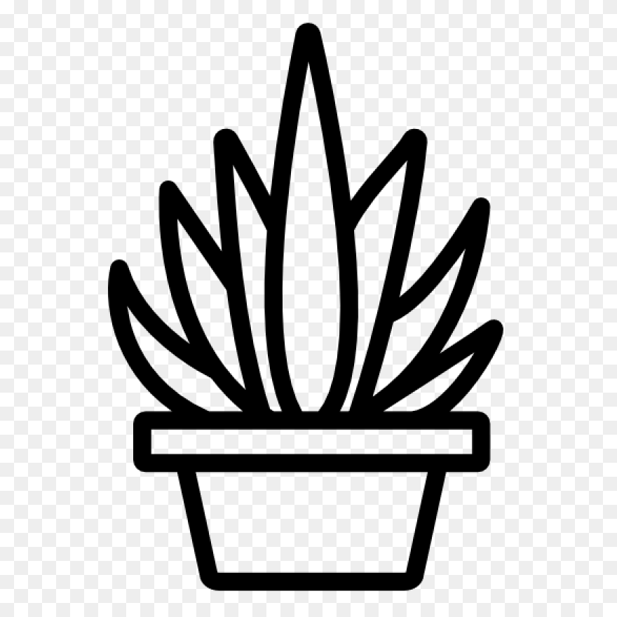 Succulents Green Plants Cute Free S