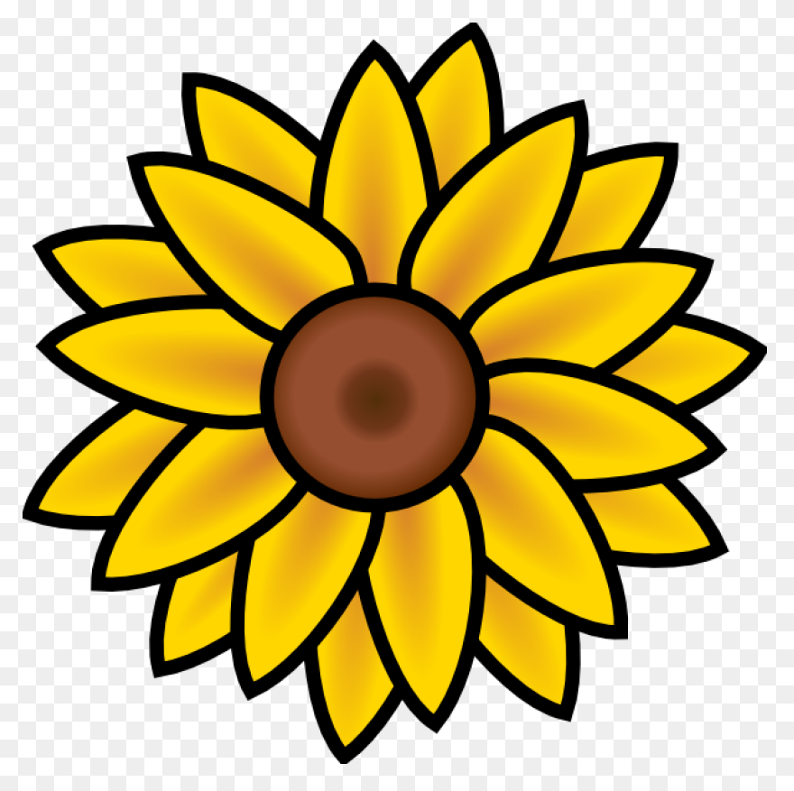 Sunflower Clip Art Clipart Free Cli