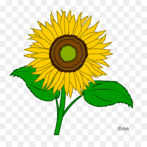 Sunflower Clipart Clipart Free Clipart - Sunflower