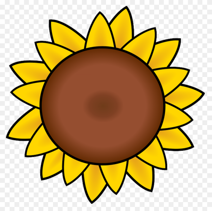 Sunflower Clip Art Clipart Free Cli