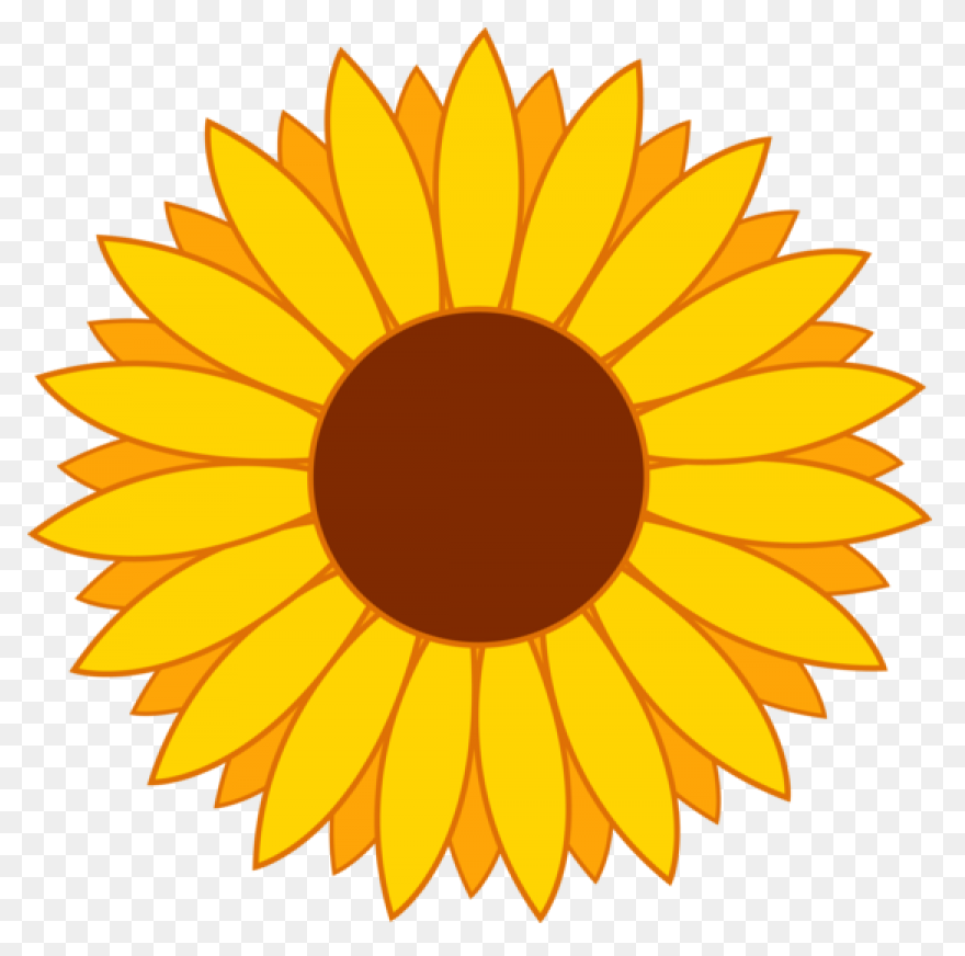 Sunflower Clip Art Clipart Free Cli