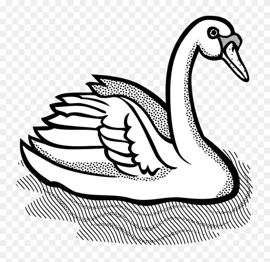 Swan Clip Art Free Clipart Images -