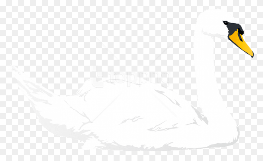 Swan Clip Art Free Clipart Images -