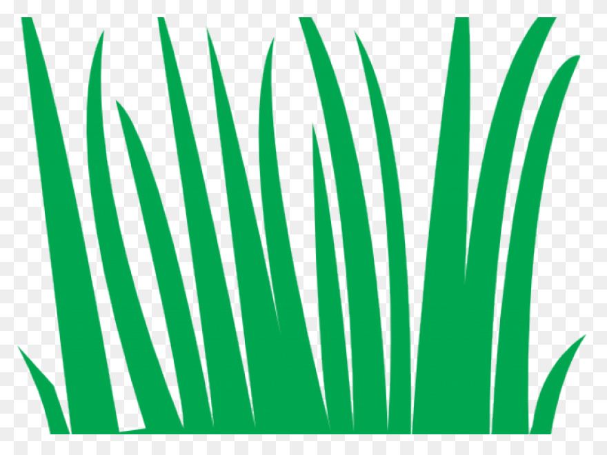Free Swamp Background Cliparts, Dow