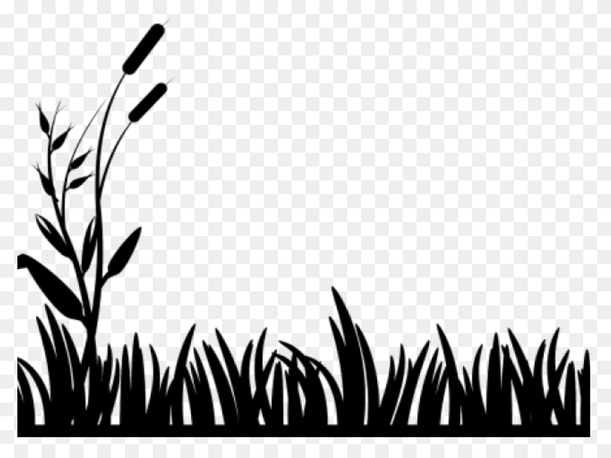 Free Swamp Background Cliparts, Dow