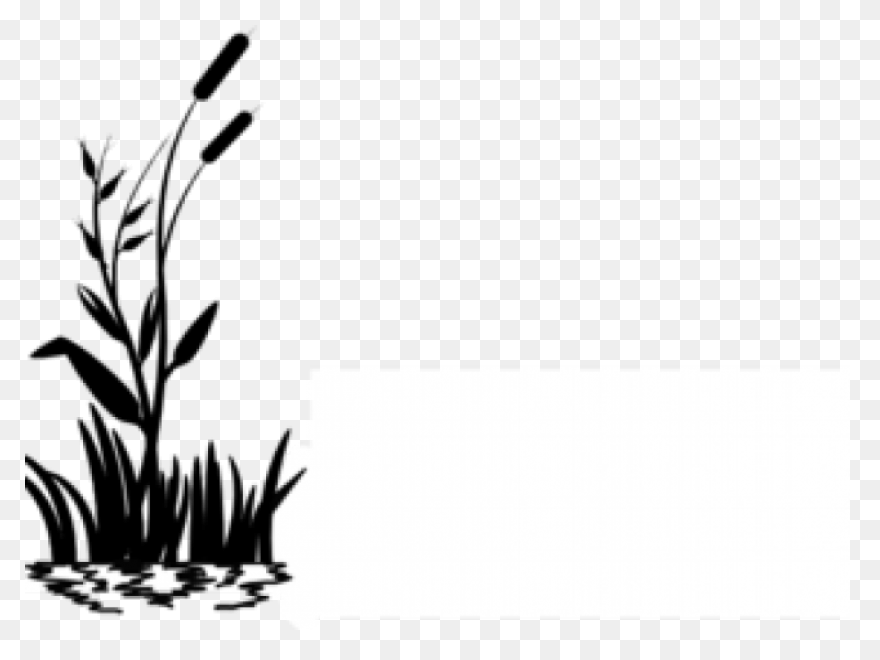 Free Swamp Background Cliparts, Dow