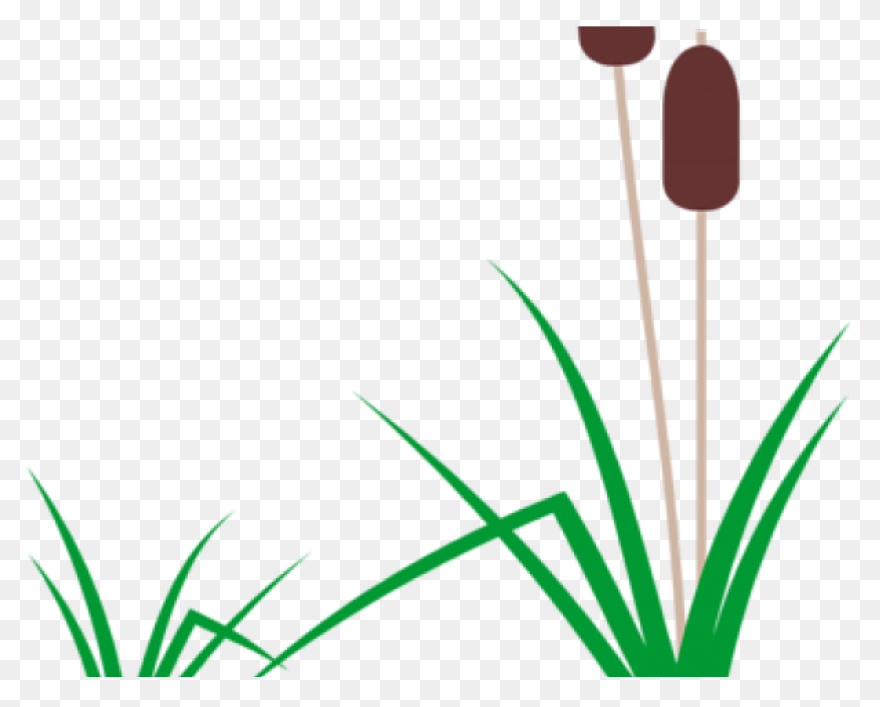 Free Swamp Background Cliparts, Dow