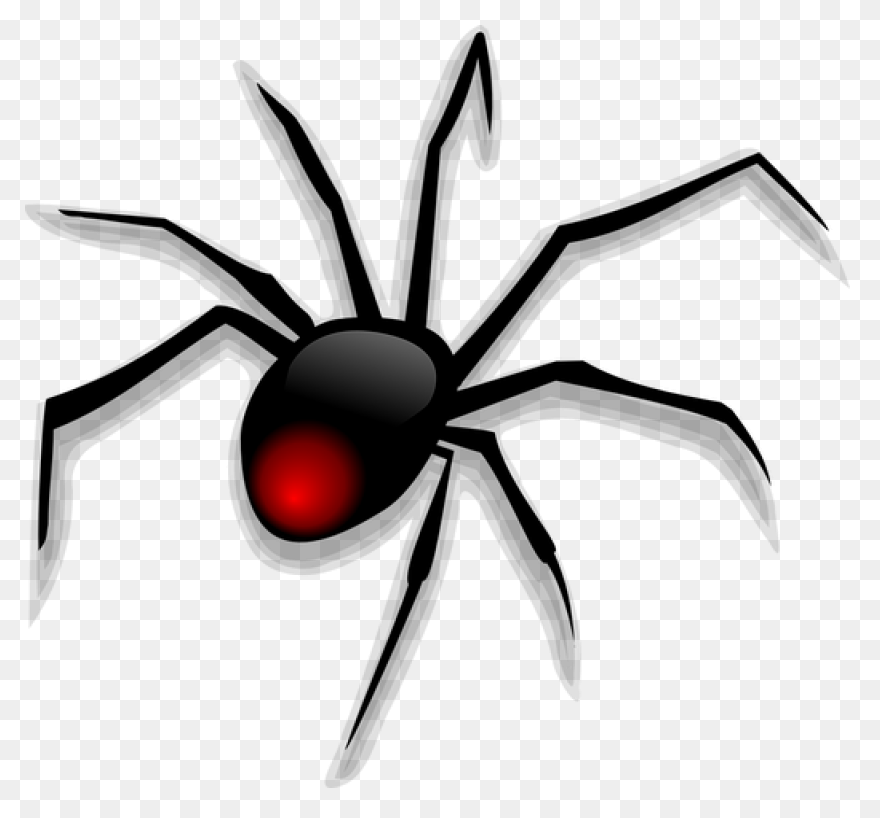 10 Free Tarantula & Spider - Tarantula