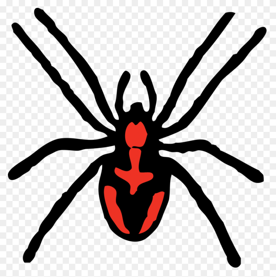 13  Tarantula Clipart - Preview : T