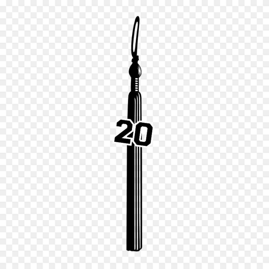 Custom Class Of 2020 Tassel - Tassel