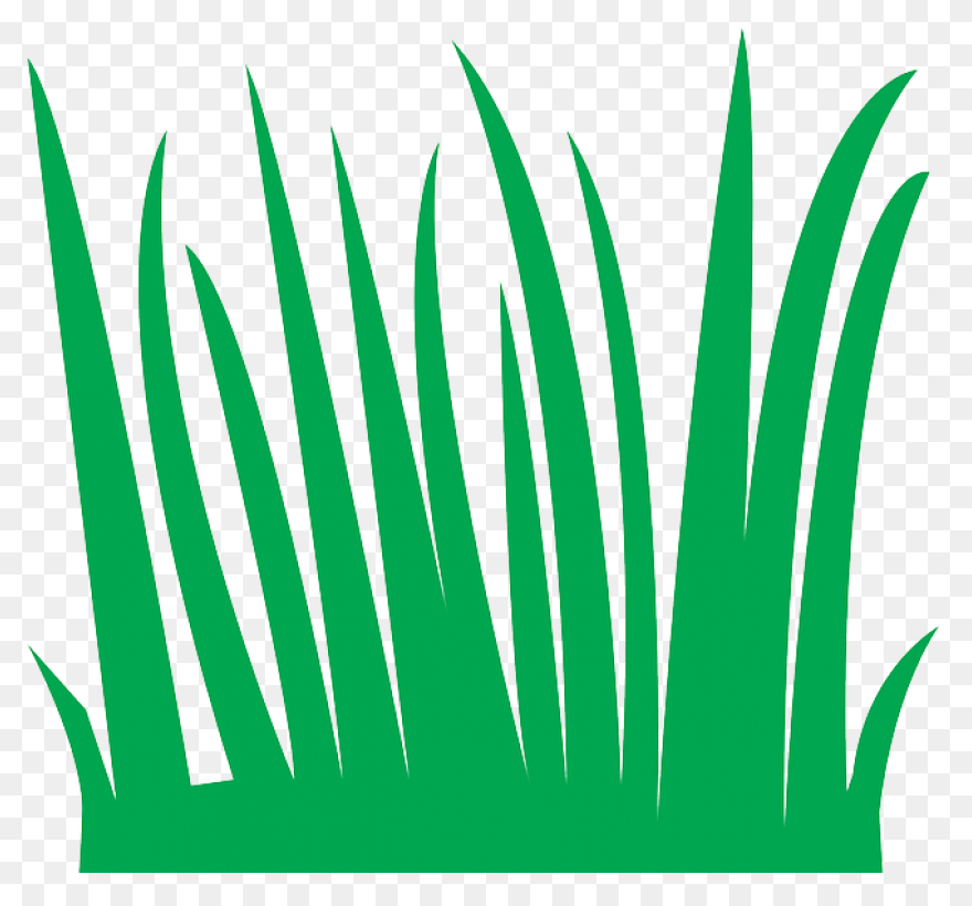 Tall N Messy Grass Accent By Madeto