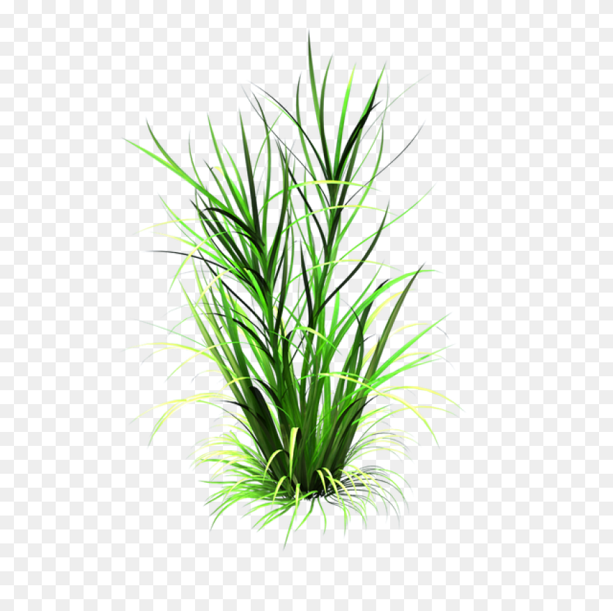 Tall N Messy Grass Accent - Tall Grass