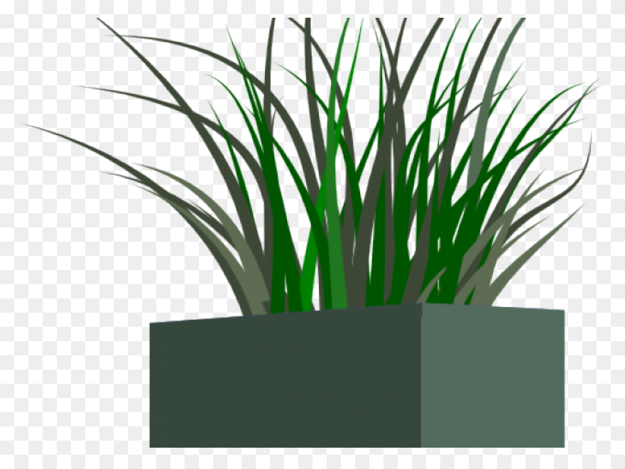 Tall N Messy Grass Accent By Madeto