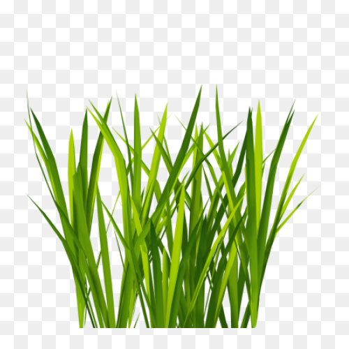 Tall N Messy Grass Accent By Madeto