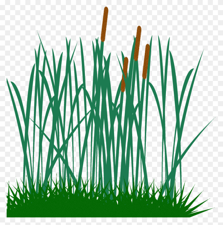 Tall N Messy Grass Accent By Madeto