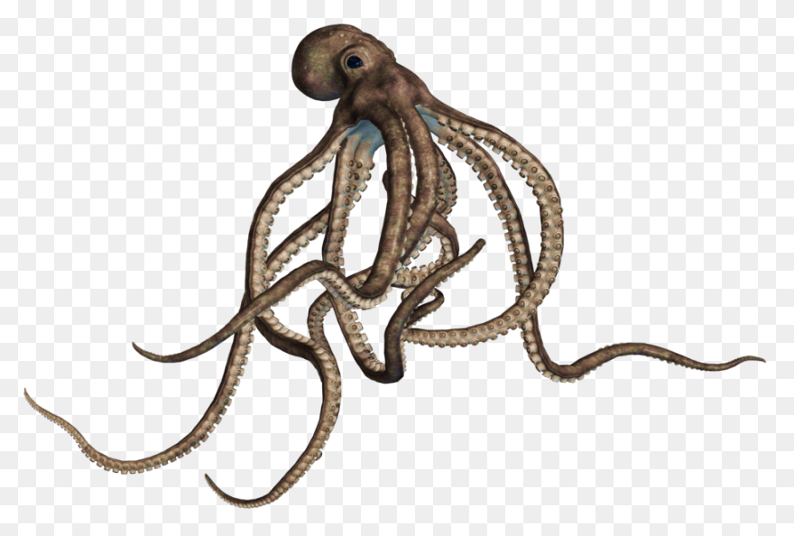 Tentacle Clipart Ursula - Kingdom H