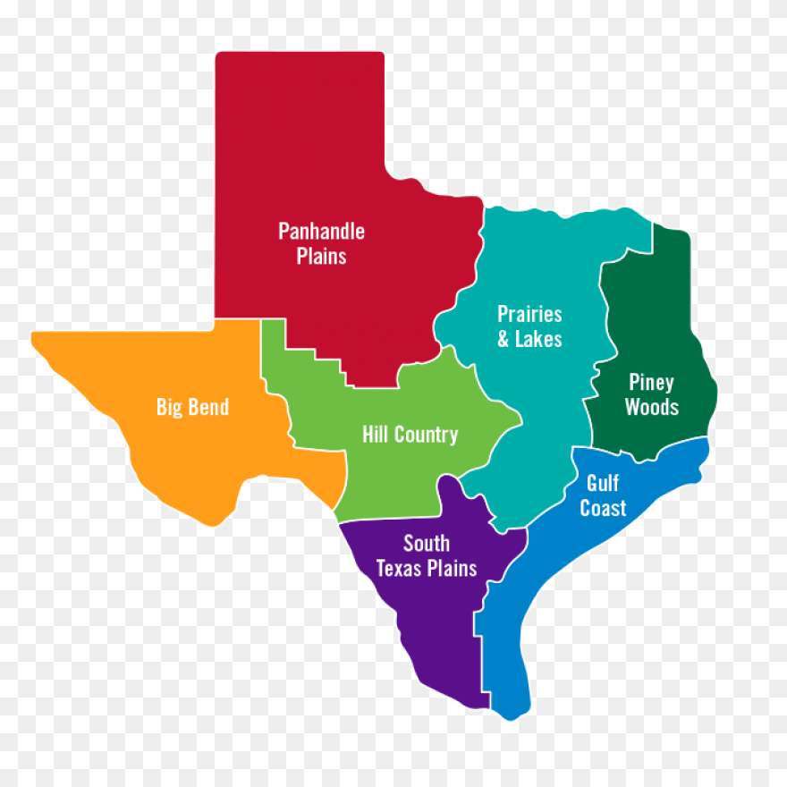 Free Texas Cliparts, Download Free 