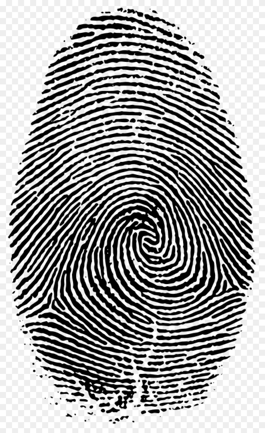 Thumb Fingerprint Print - Free Vect