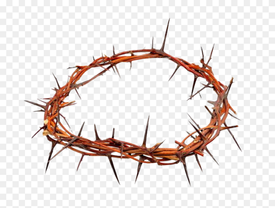 Thorns Png File |  - Thorns