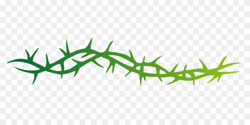Thorns Png File | 