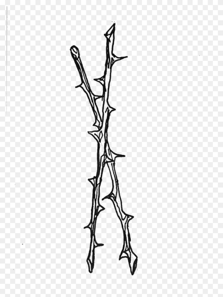 Thorns Png File | 