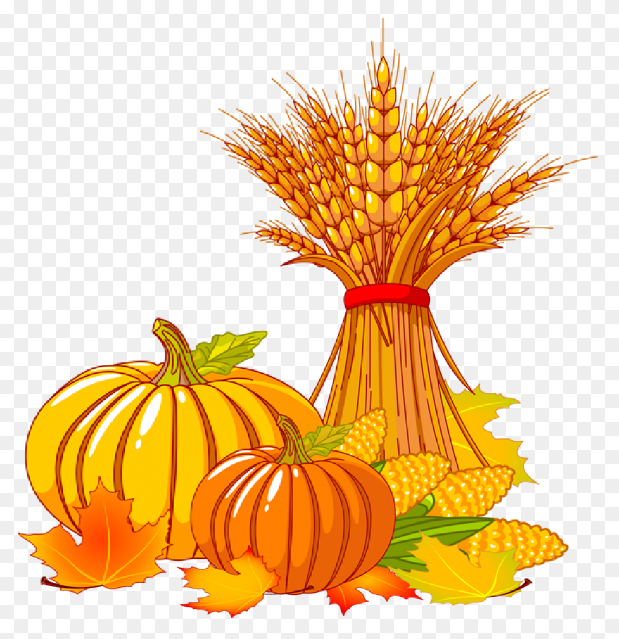 Happy Thanksgiving Pumpkin Clipart 