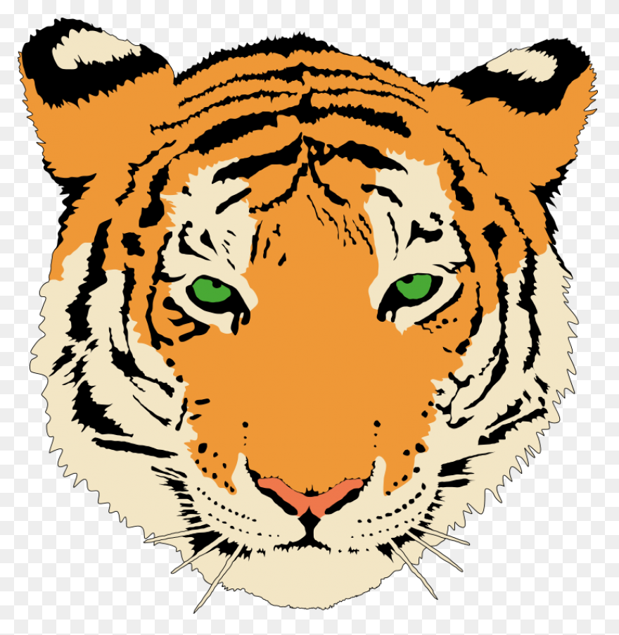 Bengal Cat Bengal Tiger White Tiger