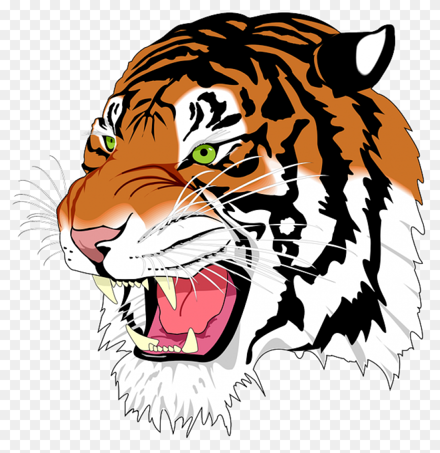 Download Hd Tiiger Clipart Tiger He