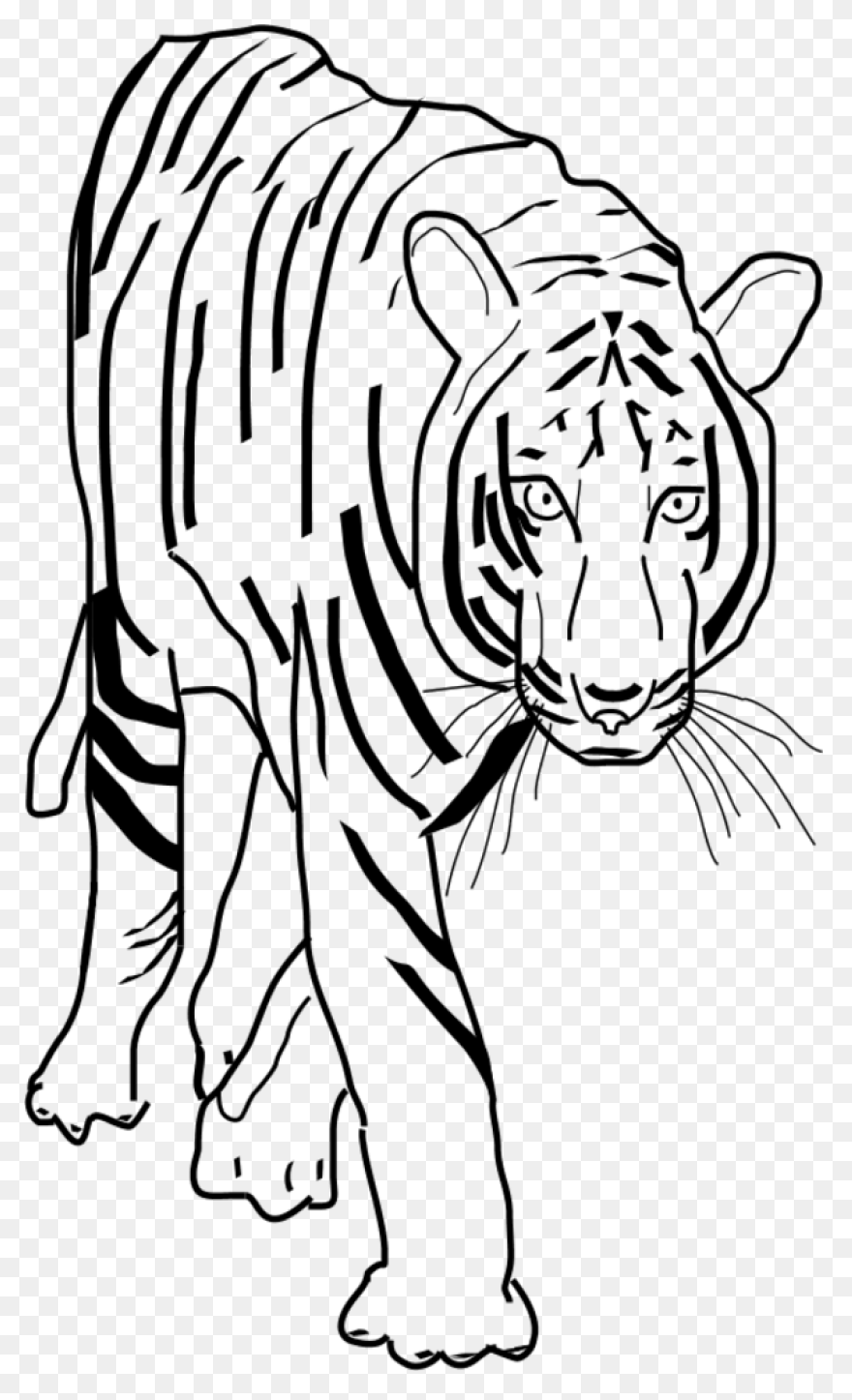Download Hd Tiiger Clipart Tiger He
