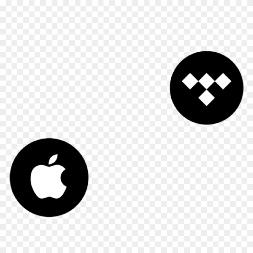 Move Tidal Music To Spotify | Clipa