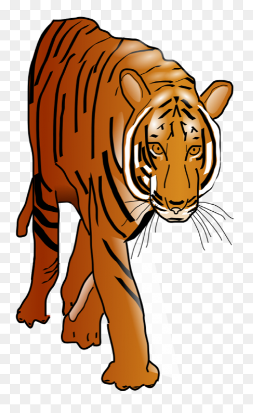 Free Tiger Cliparts, Download Free 
