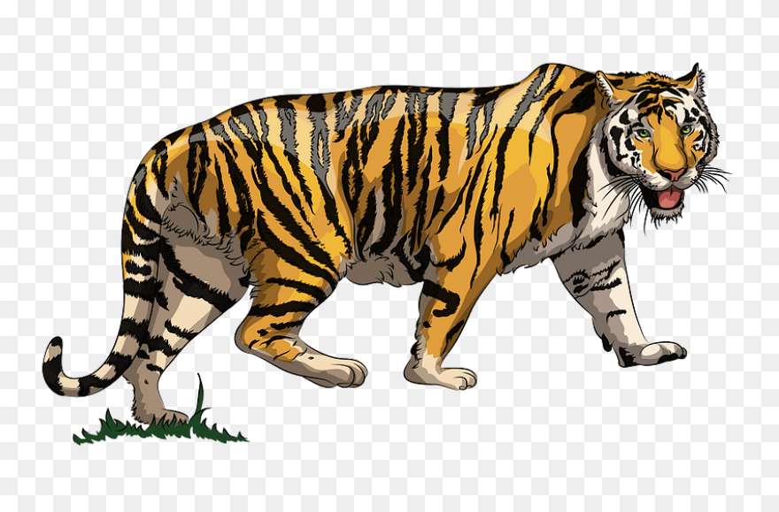 Free Tiger Cliparts, Download Free 