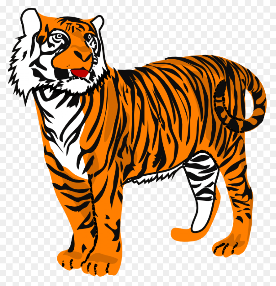 Download Hd Tigger - Bengal Tiger T