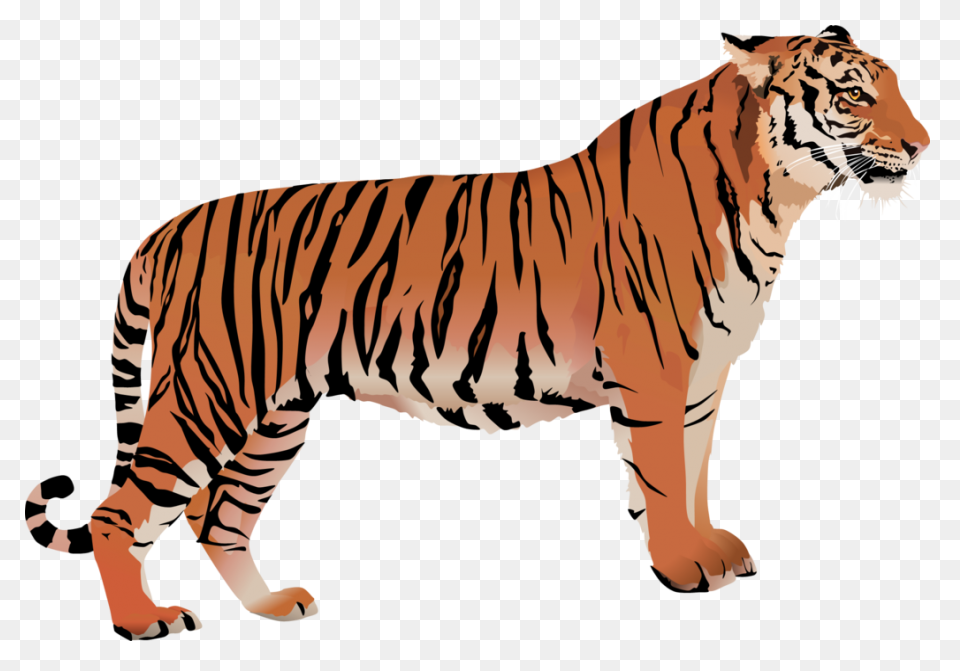 Download Hd Tigger Bengal Tiger - Tiger Hd
