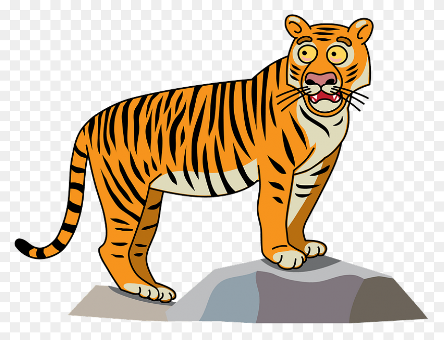 Download Hd Tigger - Bengal Tiger T