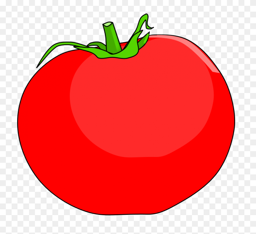 Tomato Slice | Free PNG-WebP
