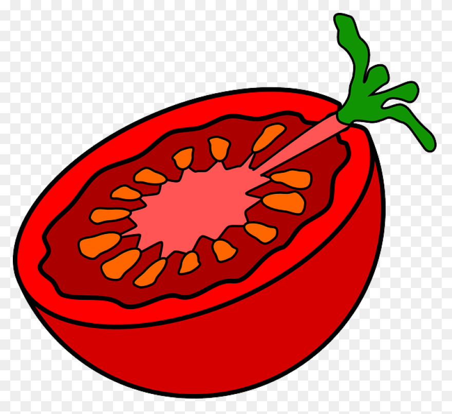 Tomato Slice | Free PNG-WebP
