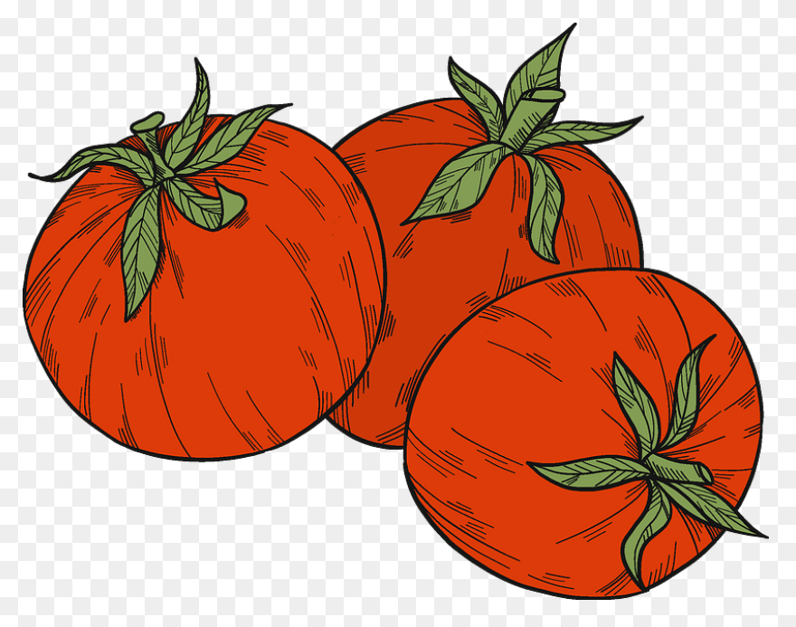 Tomato Slice | Free PNG-WebP