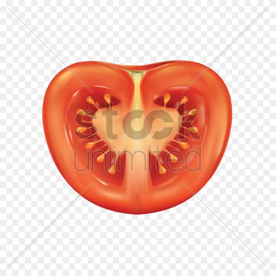 Tomato Slice | Free PNG-WebP