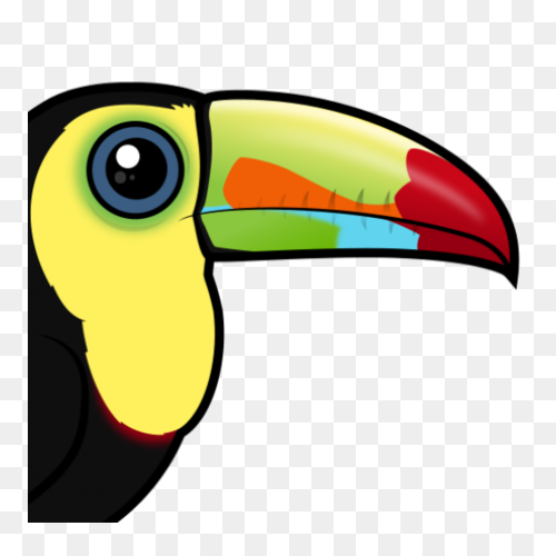 Download Toucan Clipart Head - Huma
