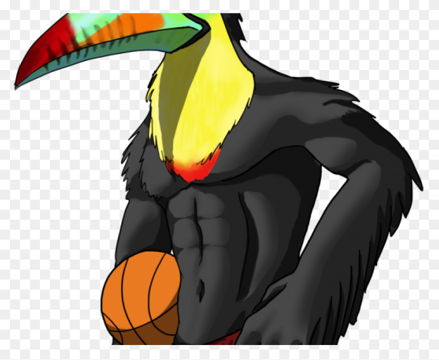 Download Toucan Clipart Head Human - Toucan