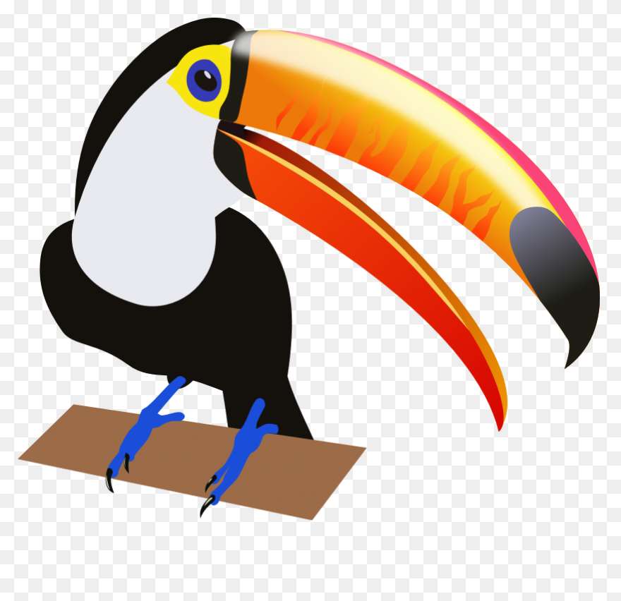 Download Toucan Clipart Head - Huma