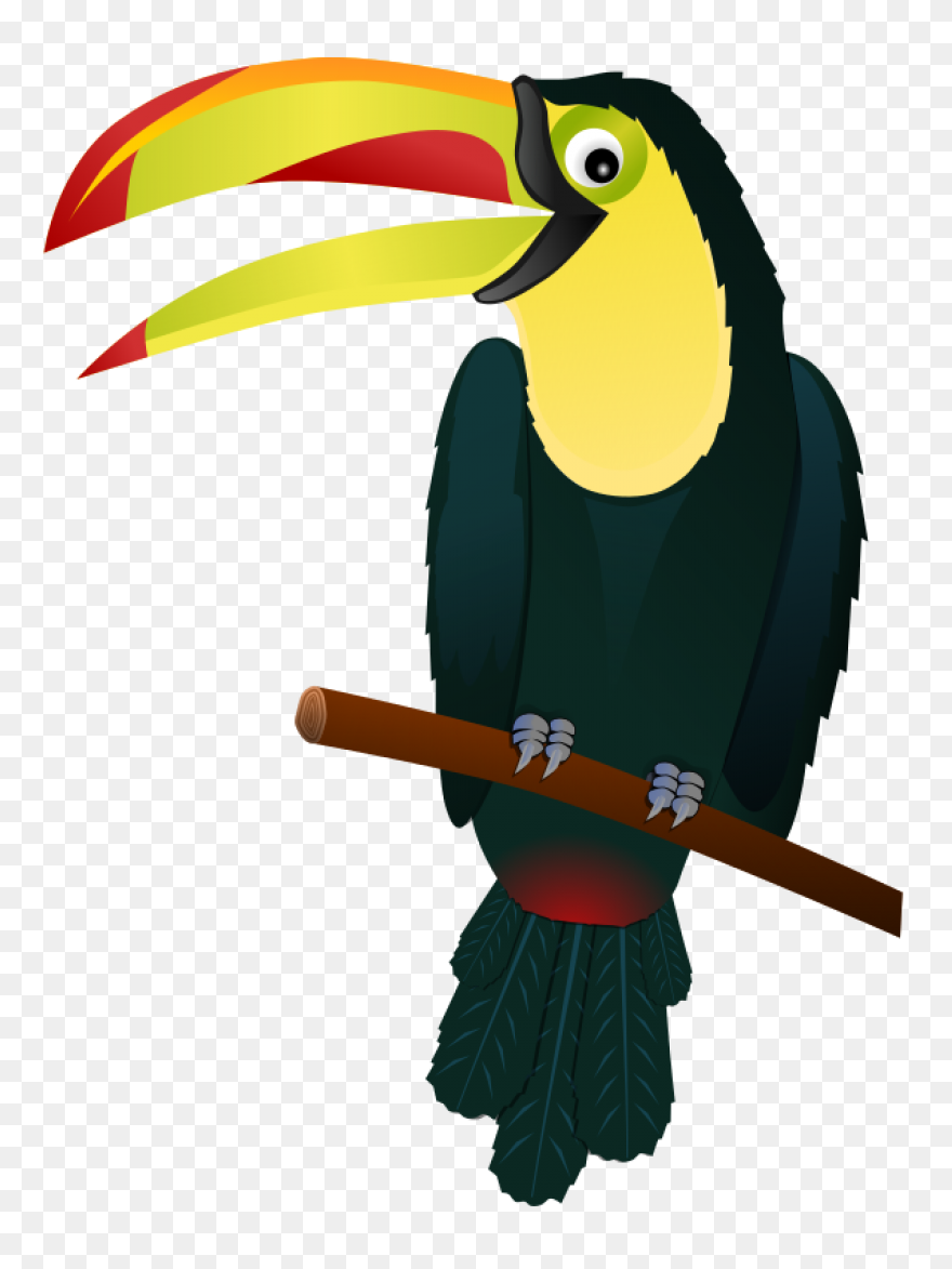 Download Toucan Clipart Head - Huma