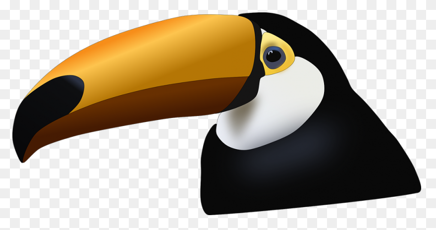 Download Toucan Clipart Head - Huma