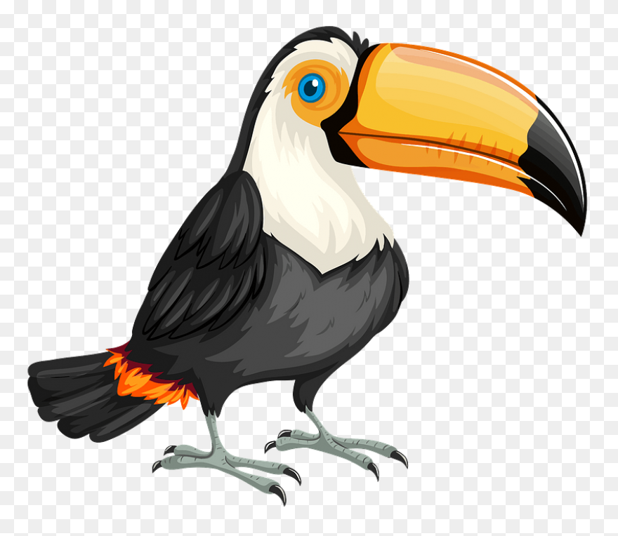 Toucan Clipart. Free Download .png - Toucan